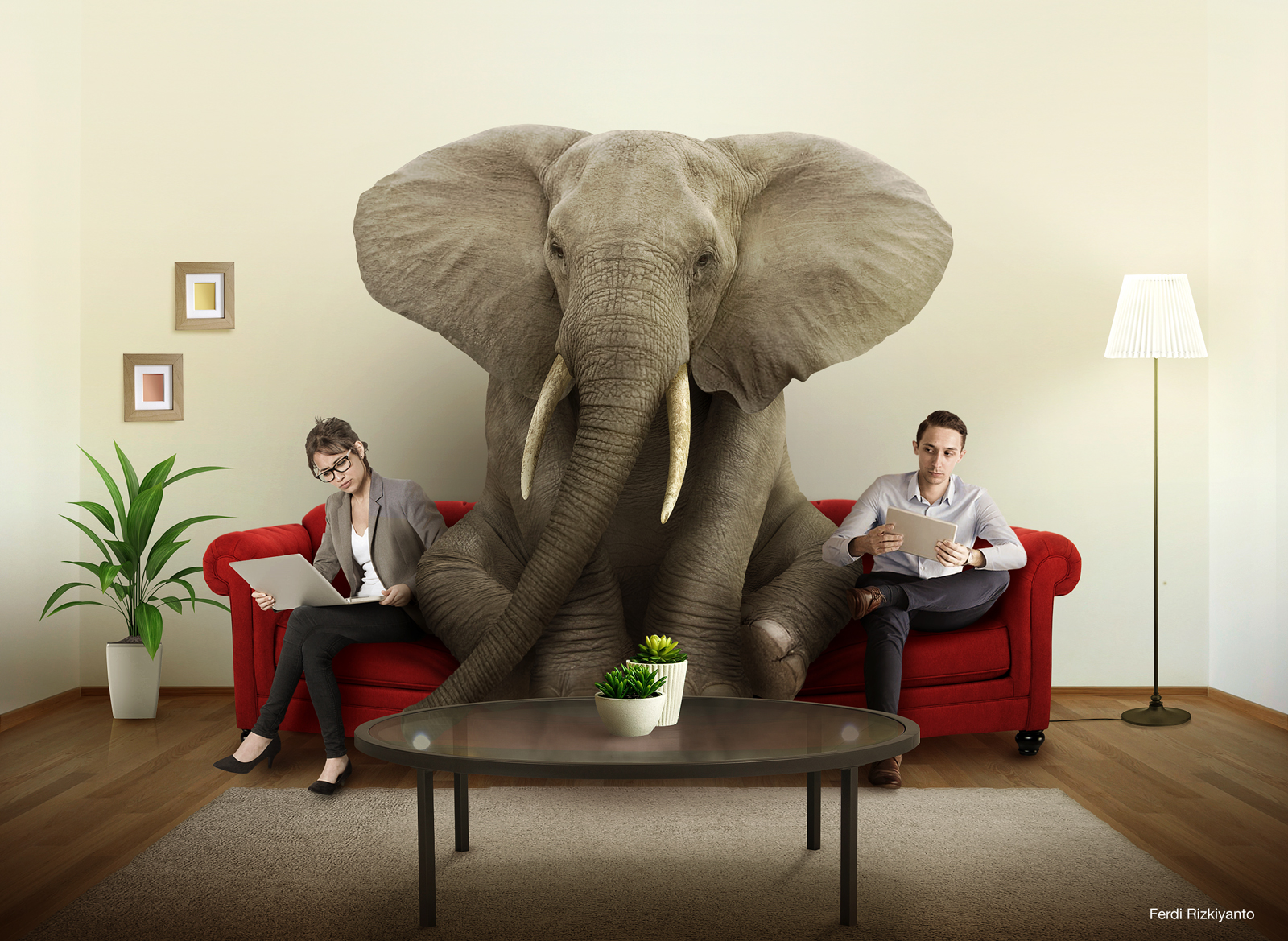elephants in living room